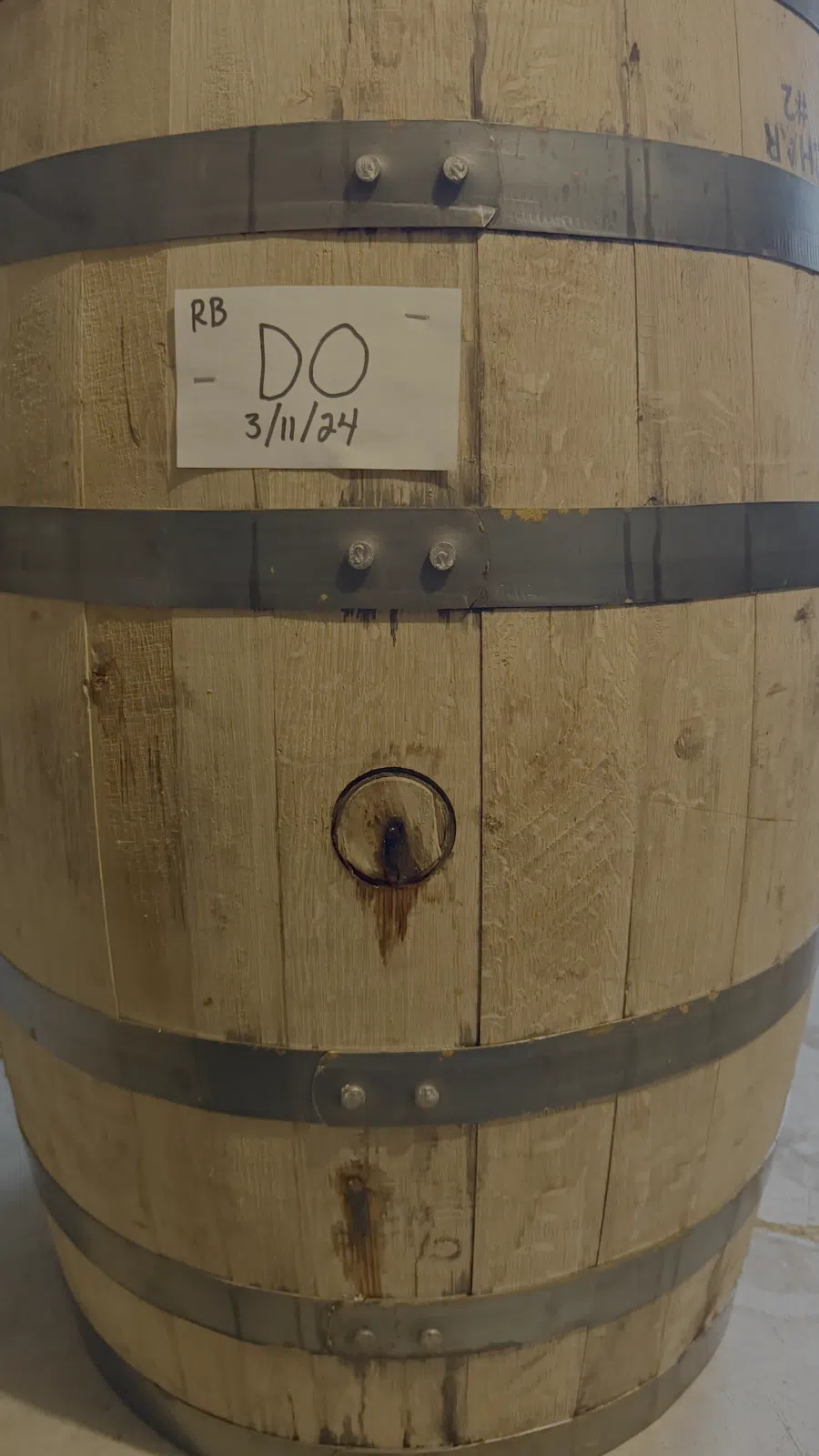 The second-oak marking: March 11, 2024.